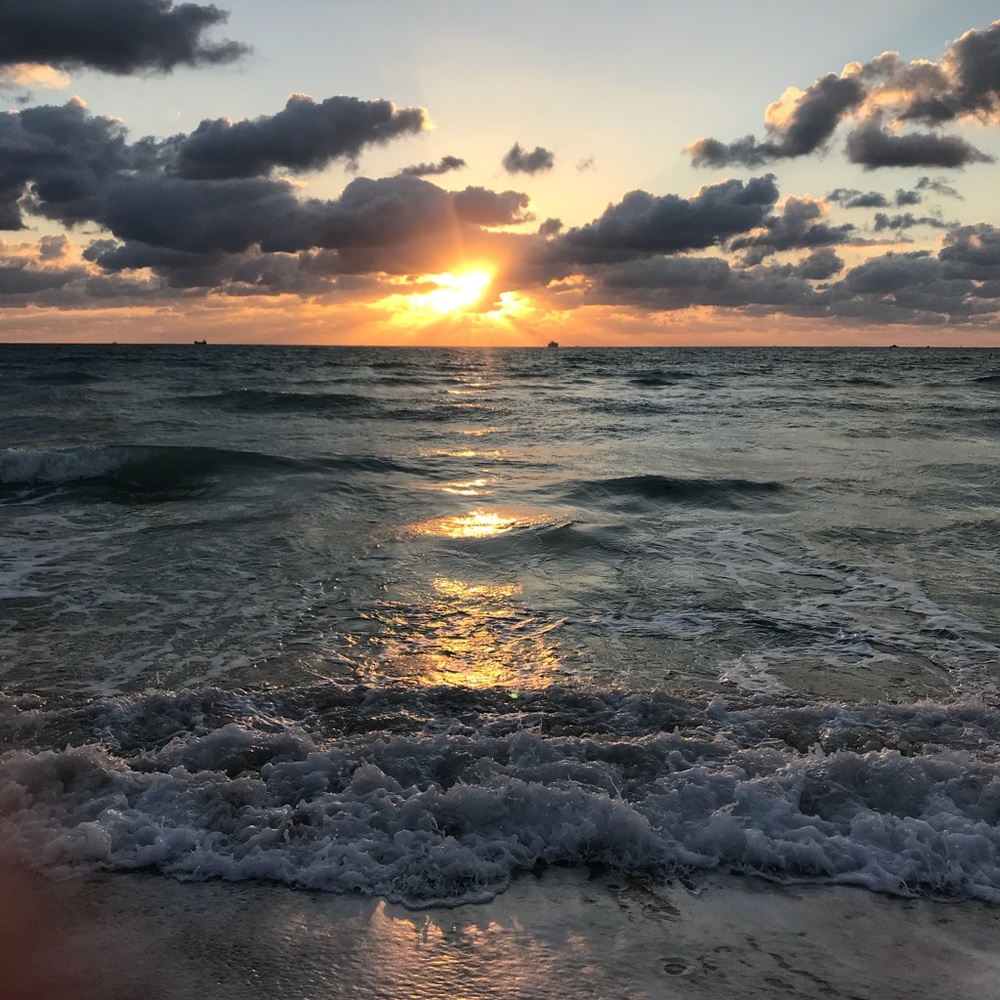 Meet your Posher, Lily